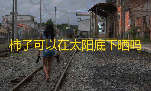 暗区突围免费最新柿子可以在太阳底下晒吗